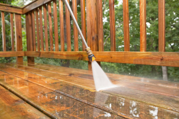 Best Animal Enclosure Cleaning  in Columbus Grove, OH